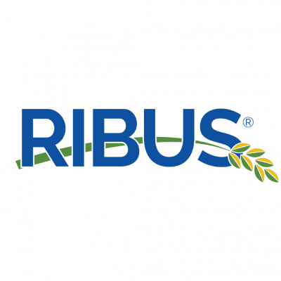 Ribus